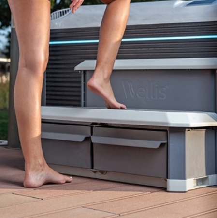 Гидромассажный спа-бассейн Wellis Vienna Life Deluxe